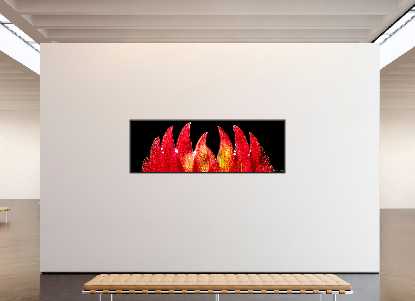 93 x 31″, Floater Frame Alder Brown Flaming Sword