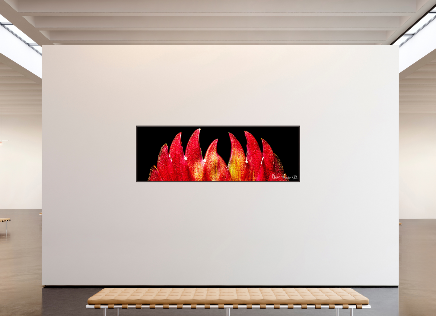 93 x 31″, Floater Frame Alder Brown Flaming Sword