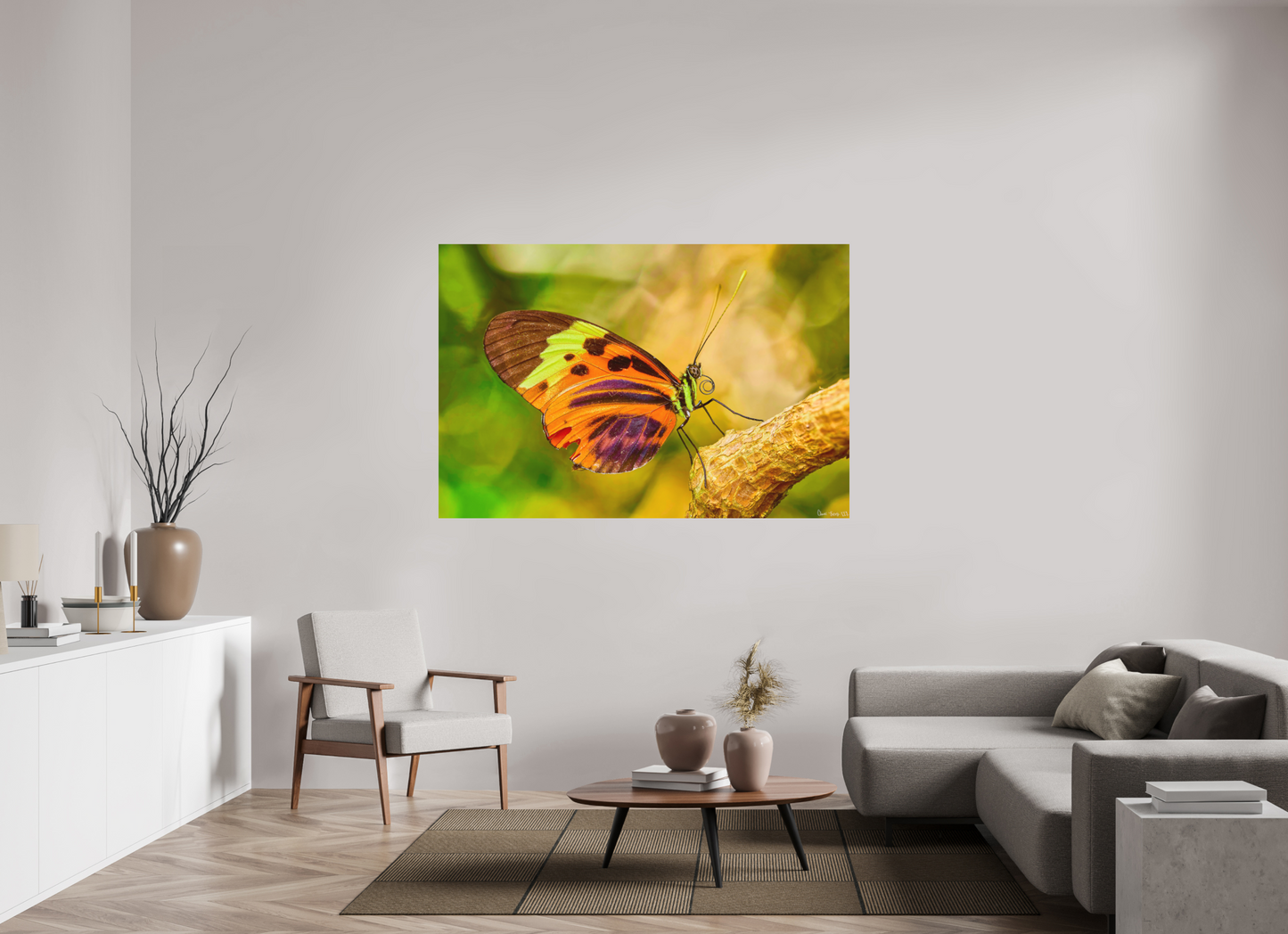 66 x 44″, Direct Print on Aluminum Dibond Default Flamboyance