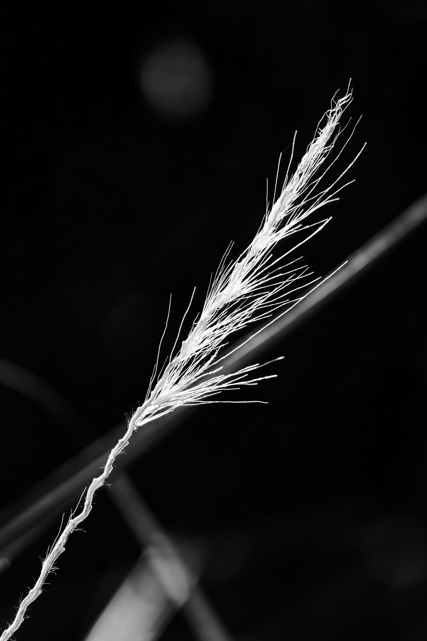 Frayed