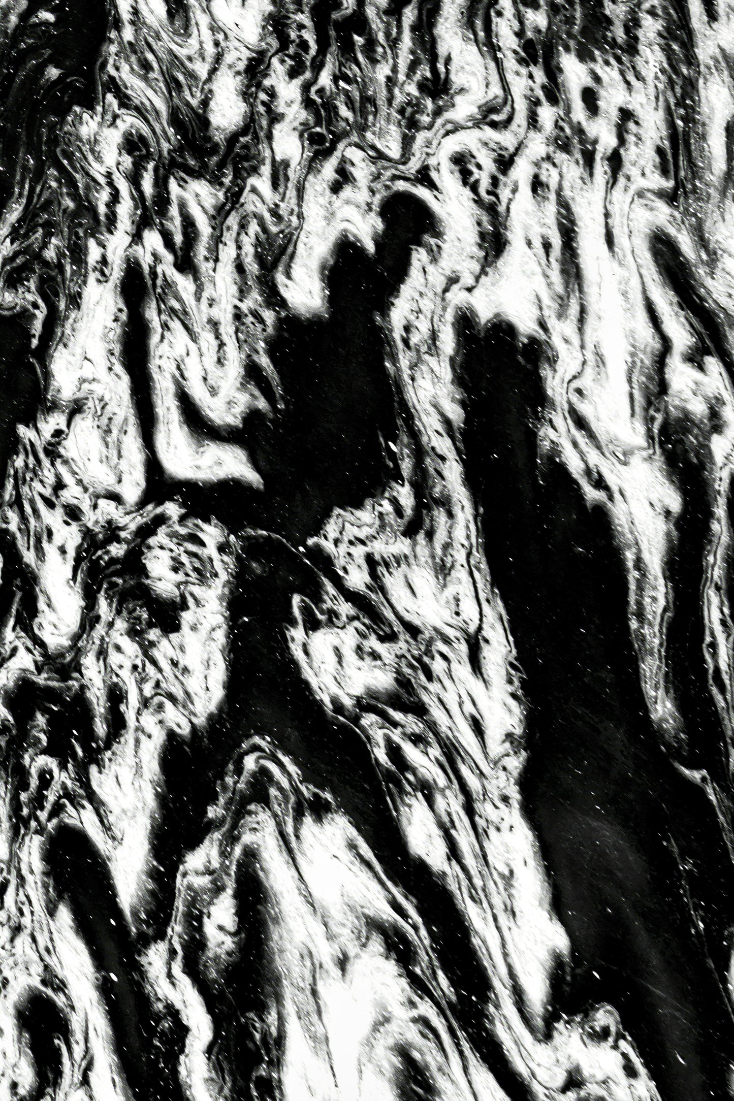 Frolicking Shadows