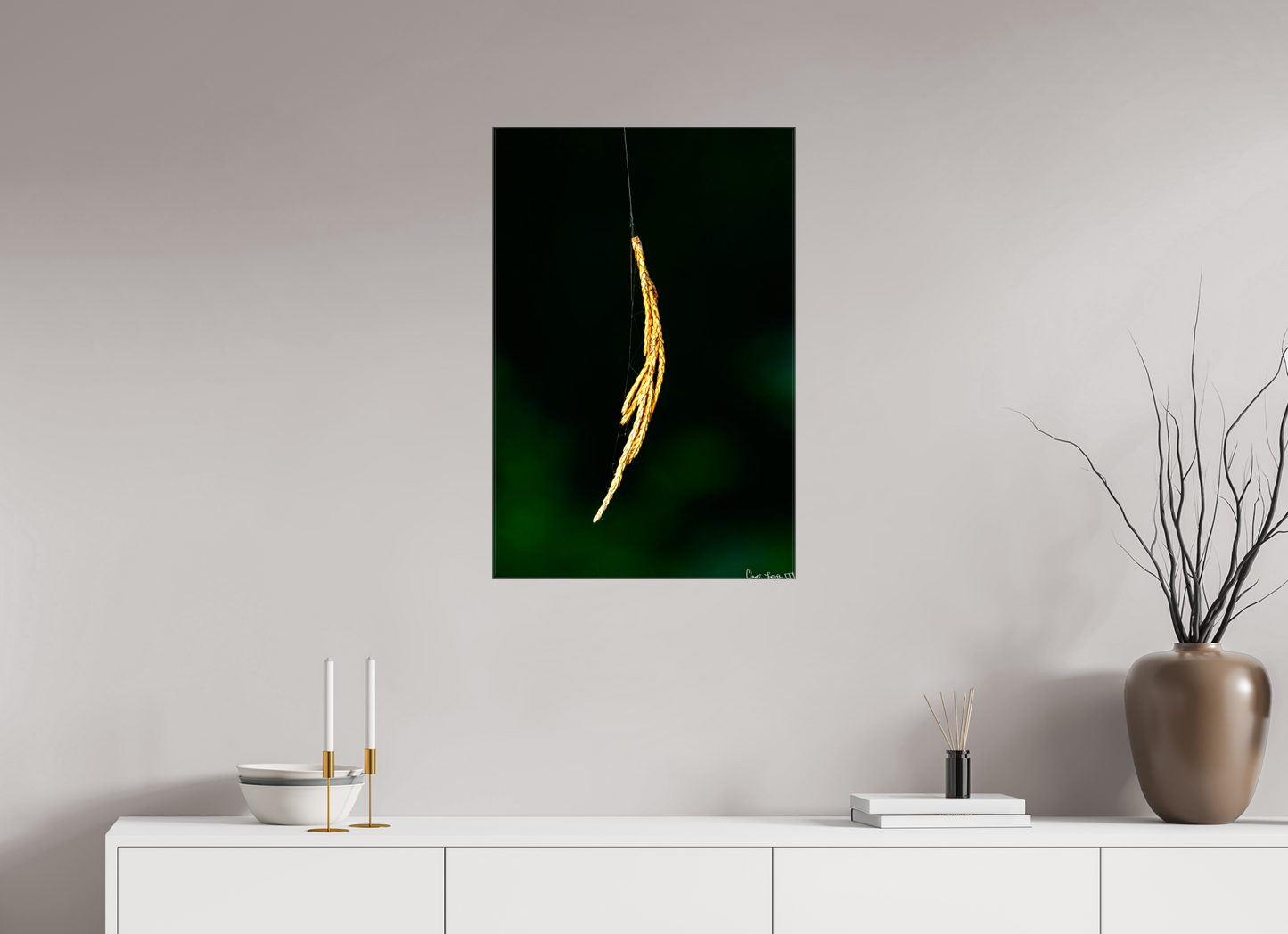 20 x 30″, Glossy Canvas Nature’s Tether