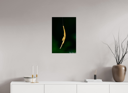 16 x 24″, Glossy Canvas Nature’s Tether