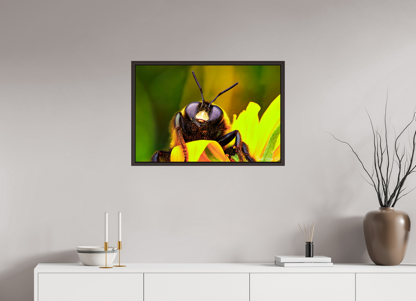 30 x 20″, Floater Frame Alder Brown The Curious Bumblebee