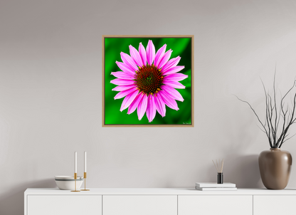 25 x 25″, Floater Frame Natural Oak Icosidigon