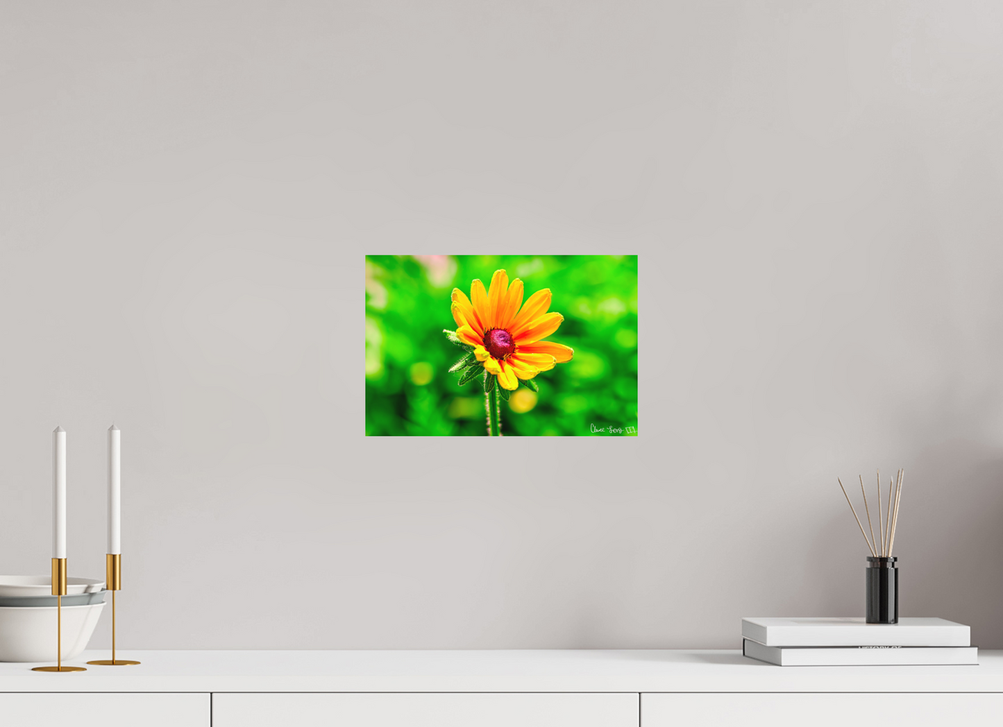 12 x 8″, Forex Stillness in the Blur