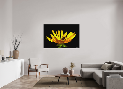 60 x 40″, Forex Sweet Dreams