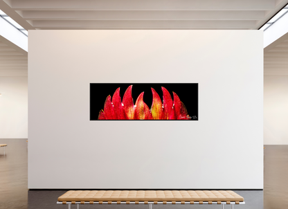 93 x 31″, Floater Frame Black Oak Flaming Sword