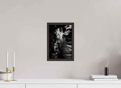 8 x 12″, Floater Frame Alder Brown Beauty Down Below