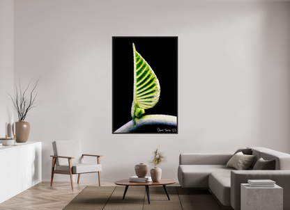 44 x 66″, Floater Frame Alder Brown Ocean Odyssey