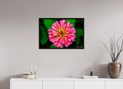 30 x 20″, Floater Frame Black Oak Peach Summer