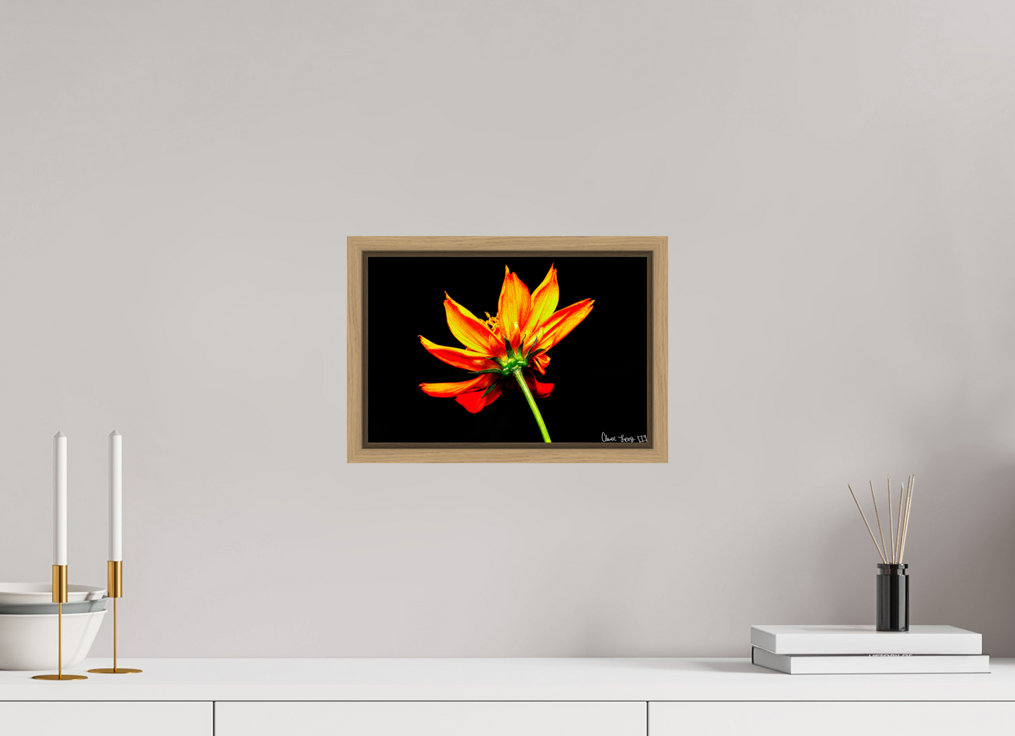 12 x 8″, Floater Frame Natural Oak Soaring Phoenix