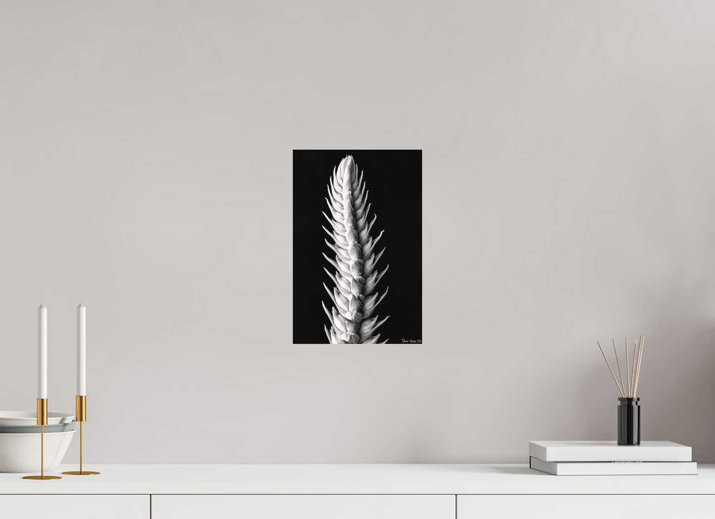 8 x 12″, Matte Metal Vertebrae