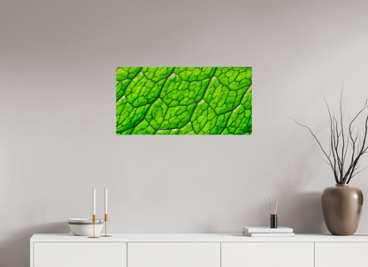 32 x 16″, Acrylic Uniformed Venation