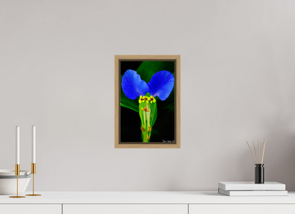 8 x 12″, Floater Frame Natural Oak Asiatic Dayflower