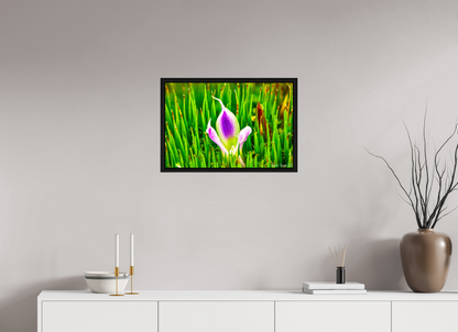 24 x 16″, Floater Frame Black Oak Maverick