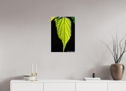 16 x 24″, Glossy Canvas Eternal Glow