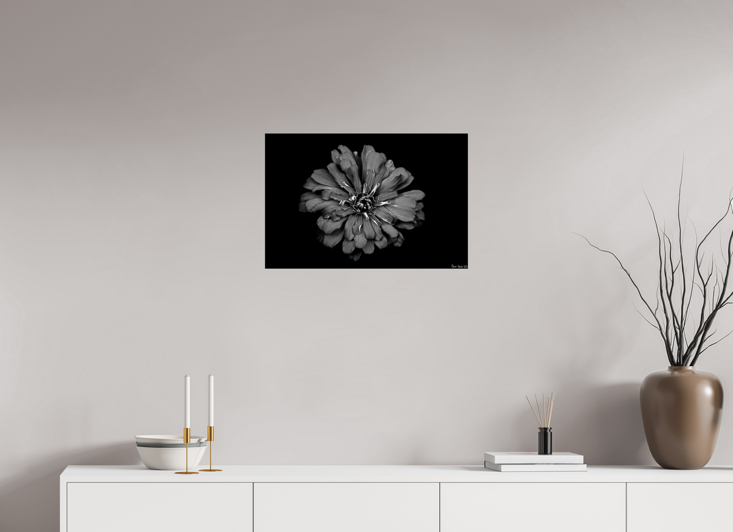 24 x 16″, Glossy Metal Carbon Zinnia