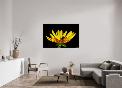 60 x 40″, Floater Frame Natural Oak Sweet Dreams