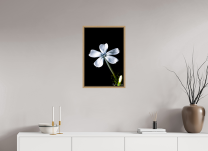 16 x 24″, Floater Frame Natural Oak Silver Petals