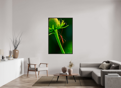 40 x 60″, Floater Frame Alder Brown Reaching the Apex