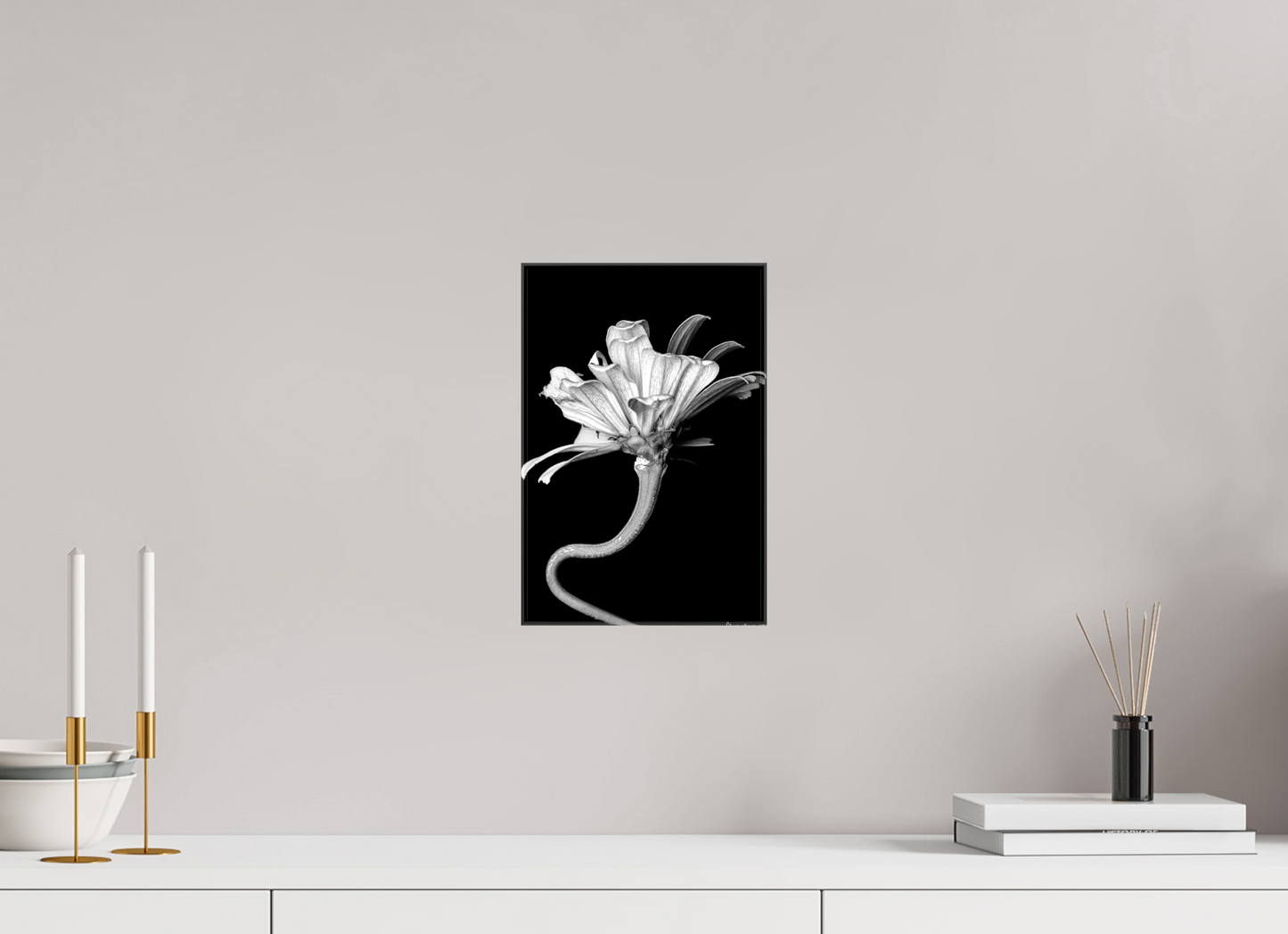 8 x 12″, Glossy Canvas Kingsnake’s Florescence