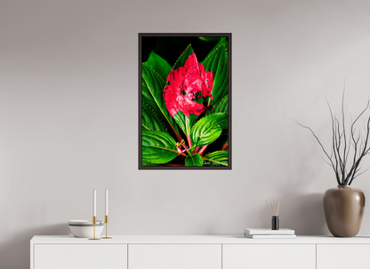 20 x 30″, Floater Frame Alder Brown Subsume