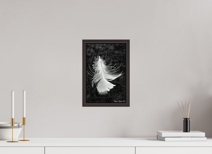 8 x 12″, Floater Frame Alder Brown Feather On Ice