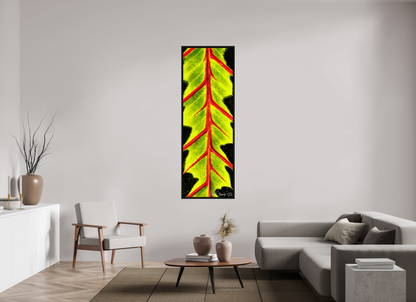 24 x 72″, Floater Frame Black Oak Highlighted Maranta