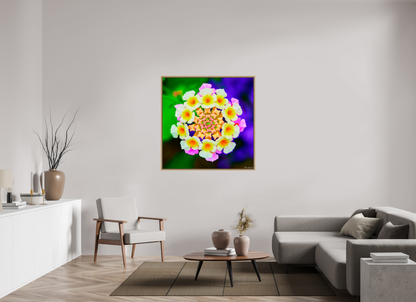 45 x 45″, Floater Frame Natural Oak Quintessence