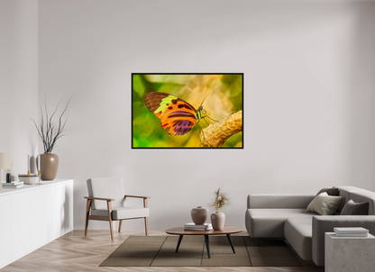 60 x 40″, Floater Frame Black Oak Flamboyance