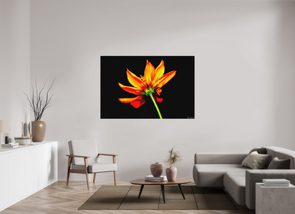 66 x 44″, Forex Soaring Phoenix