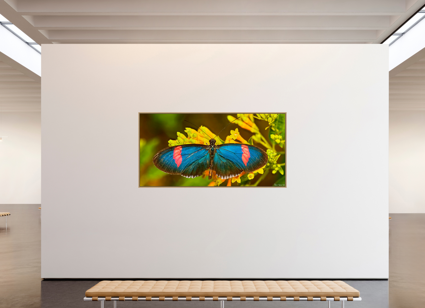 86 x 43″, Floater Frame Natural Oak Racing Stripes
