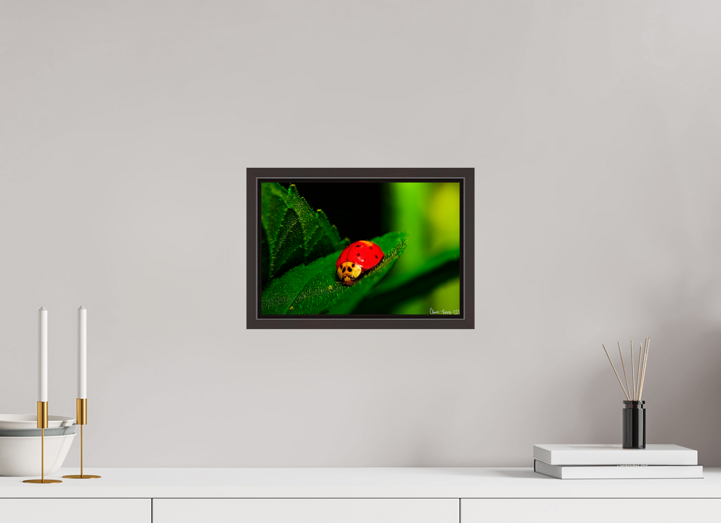 12 x 8″, Floater Frame Alder Brown Our Lady Bird