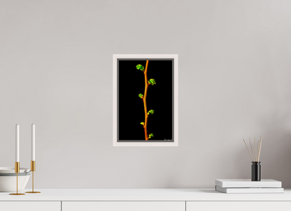 8 x 12″, Floater Frame Maple White The Ladder of Life