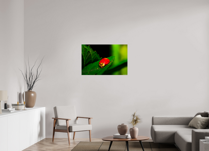 36 x 24″, Glossy Metal Our Lady Bird