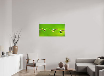 40 x 20″, Matte Metal Refraction