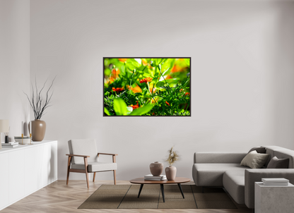 60 x 40″, Floater Frame Alder Brown Prominence