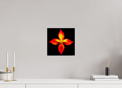 10 x 10″, Glossy Metal Blazing Compass