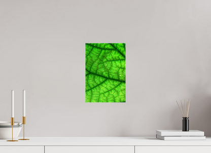 8 x 12″, Glossy Canvas Rivers & Streams