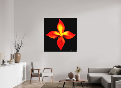 45 x 45″, Matte Canvas Blazing Compass