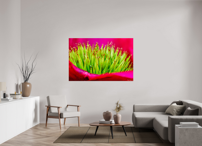 66 x 44″, Glossy Metal Spiked