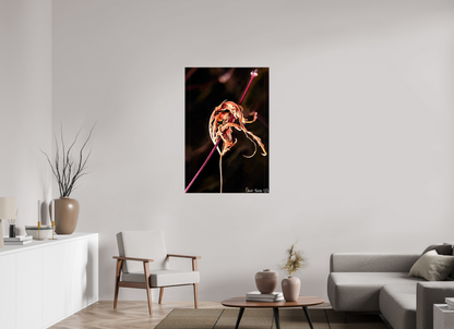 30 x 45″, Glossy Canvas Impaled