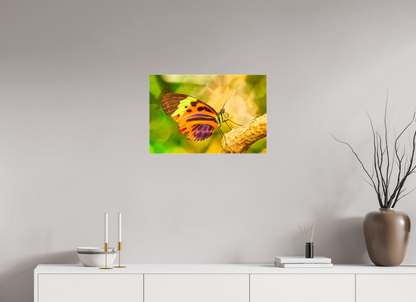 24 x 16″, Glossy Canvas Flamboyance