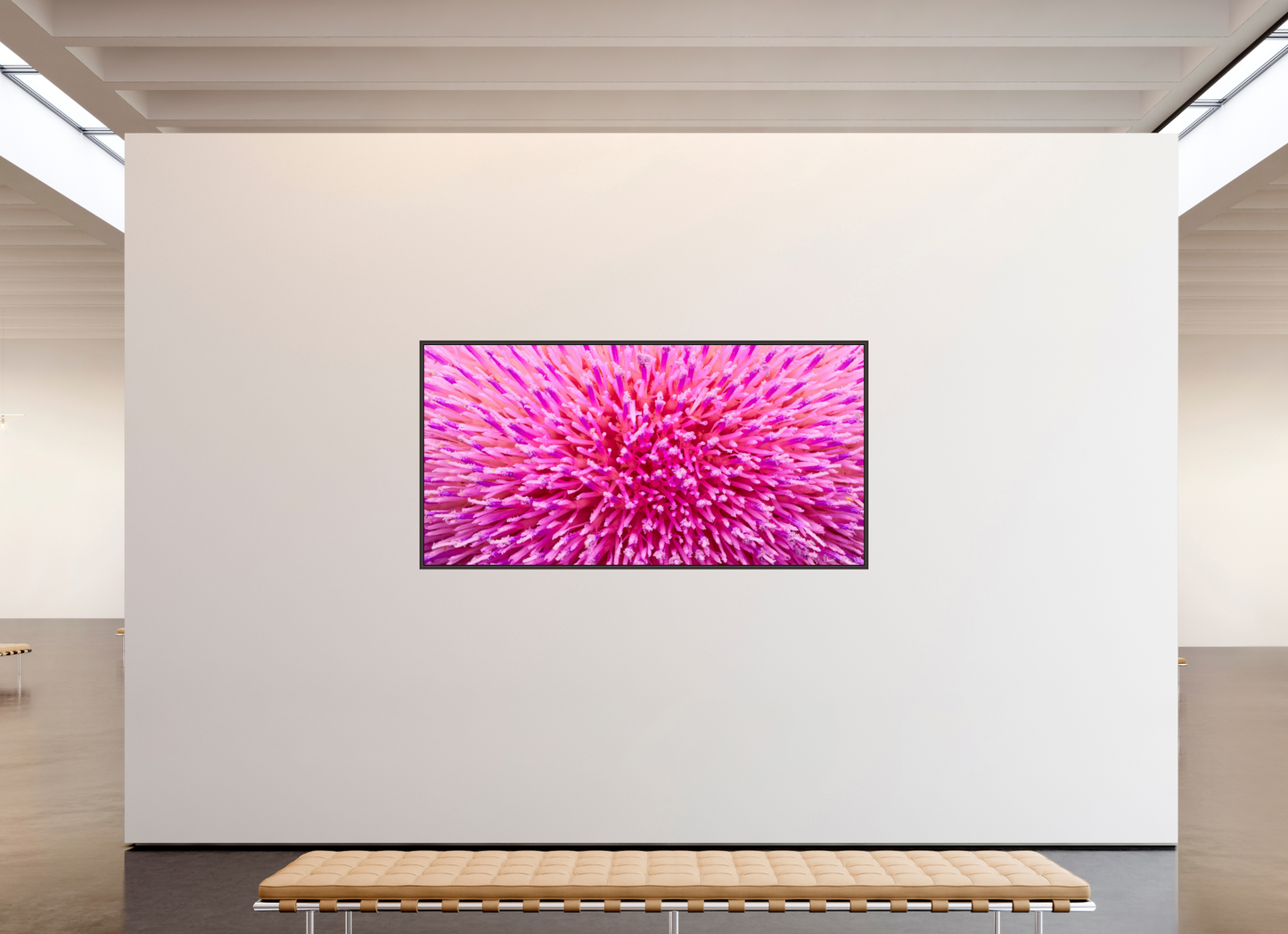 86 x 43″, Floater Frame Alder Brown Thistle Sea