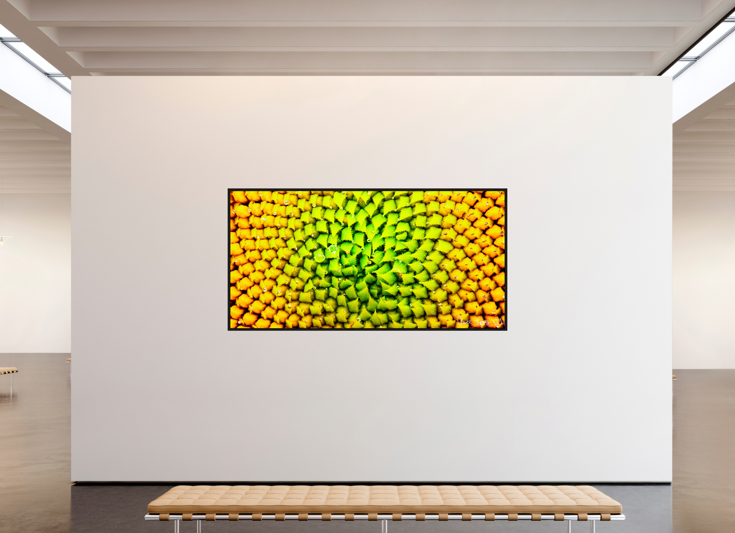 94 x 47″, Floater Frame Black Oak Geometric Harmony