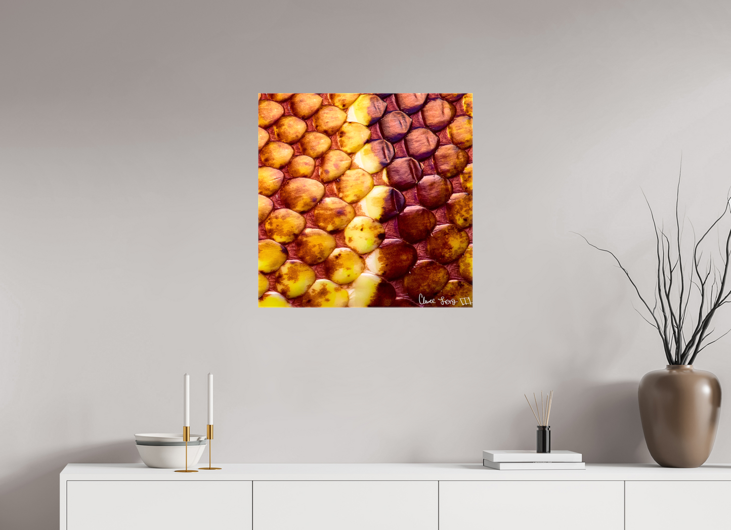 25 x 25″, Glossy Canvas Reptilian Divide