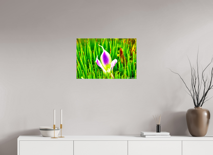 24 x 16″, Glossy Canvas Maverick