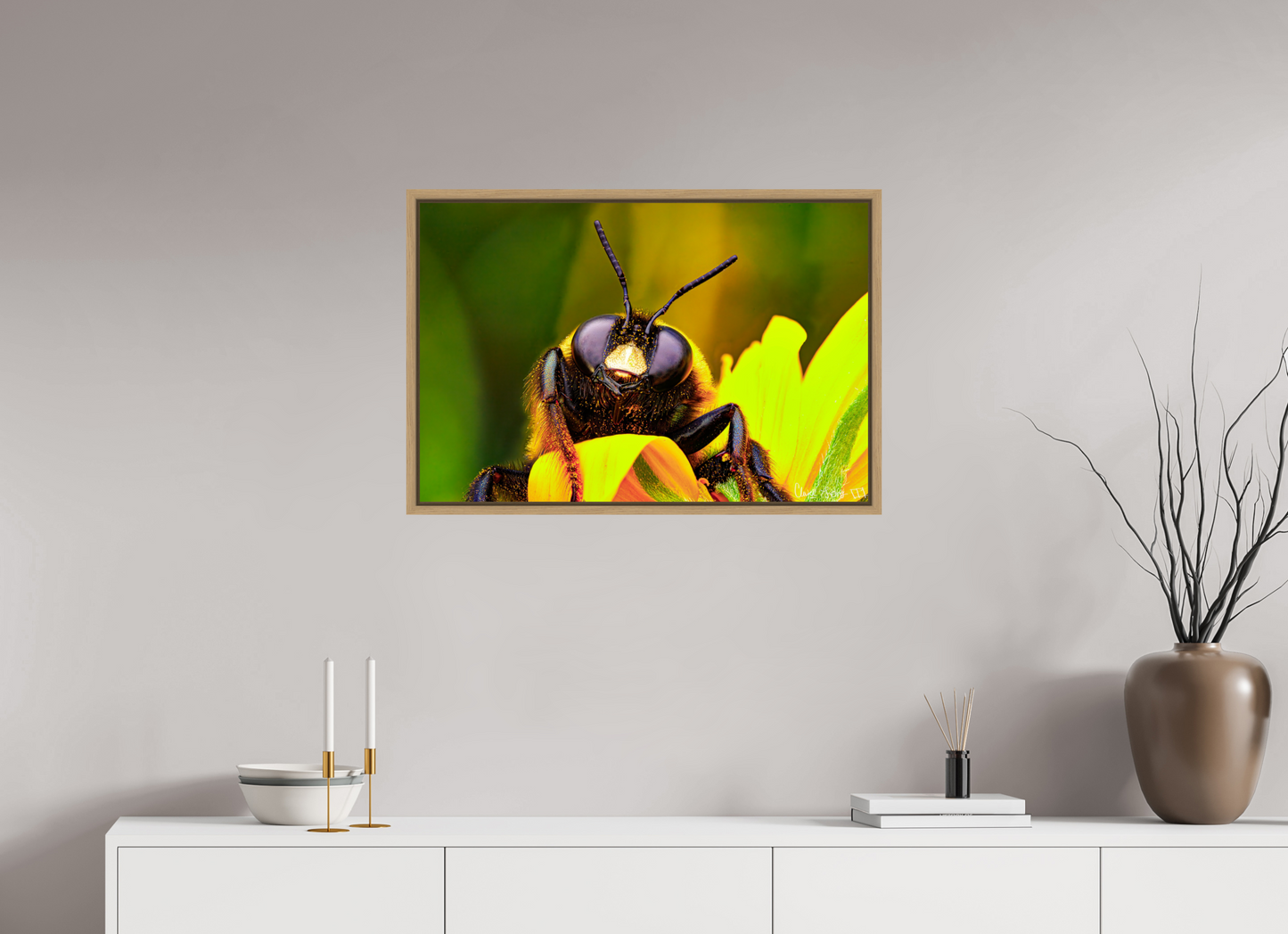 30 x 20″, Floater Frame Natural Oak The Curious Bumblebee