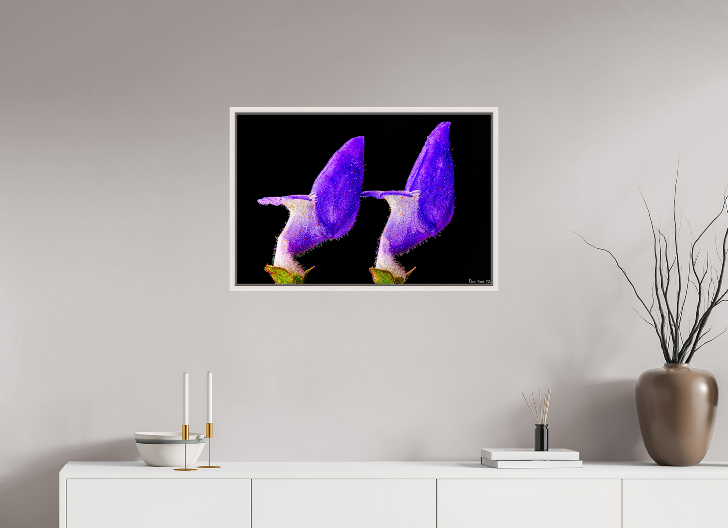 30 x 20″, Floater Frame Maple White Coleus Barbatus